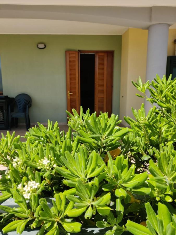Appartamento Da Carlo 2 อาลเกโร ภายนอก รูปภาพ